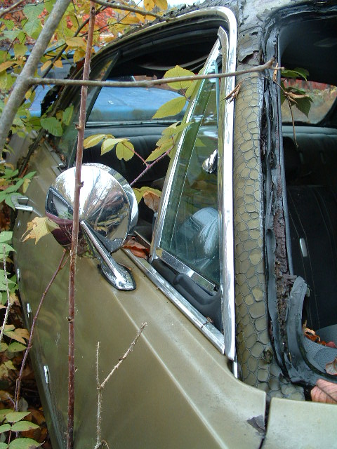10-15-04 Cars Download 005.jpg
