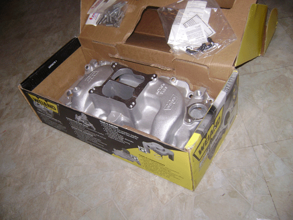 2-1-08 008.gif