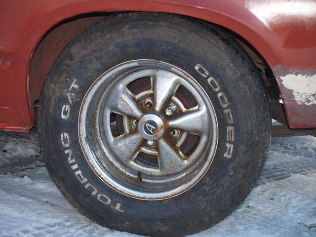 cougarr 002.jpg