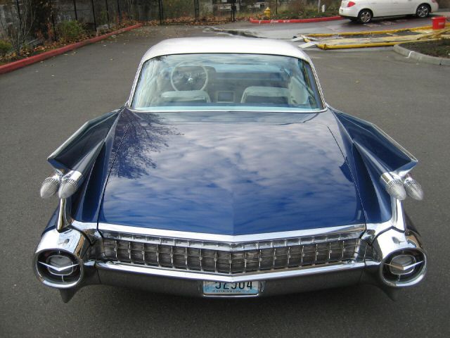 d511_4.jpg