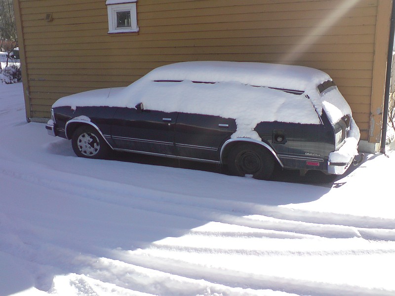 DSC00248b.jpg