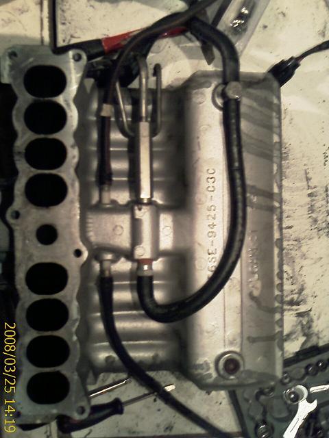 IMAG0139-1.JPG