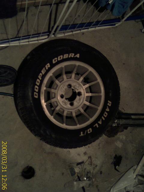 IMAG0149-1.JPG