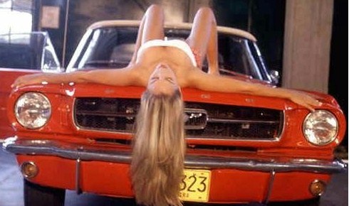 1016159447_stangirl2.jpg