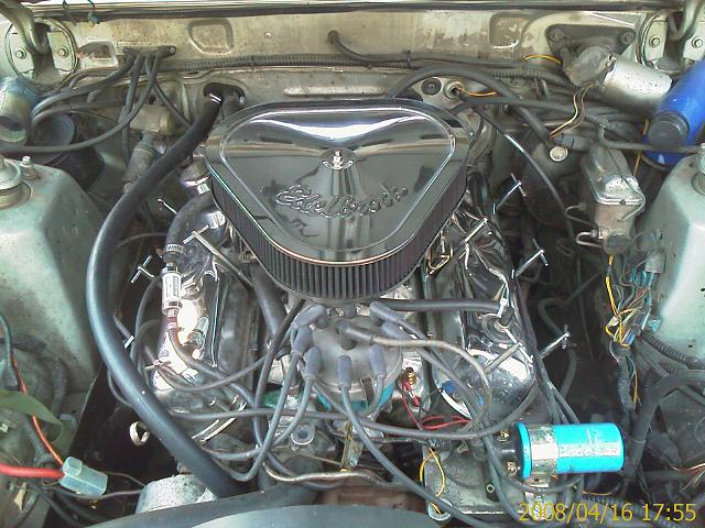 IMAG0193-1.JPG