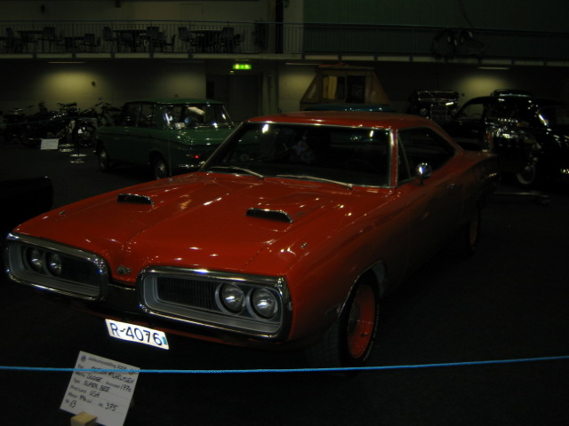 200804leto 074.JPG