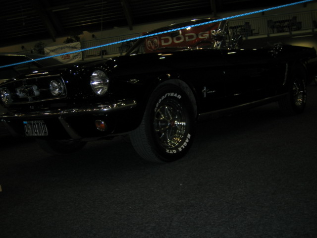 200804leto 112.JPG