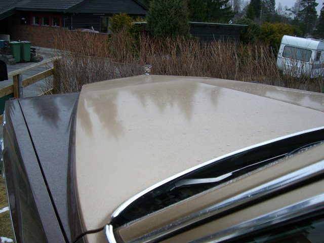 visker1.jpg