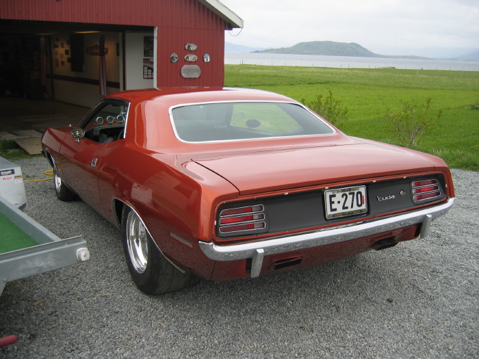 IMG_4703.jpg