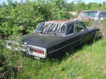 DSCF5765.jpg