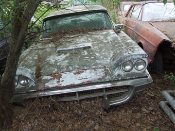 DSCF5681.jpg