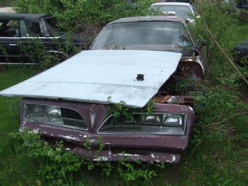 DSCF5673.jpg