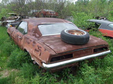 DSCF5674.jpg