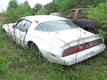 DSCF5675.jpg