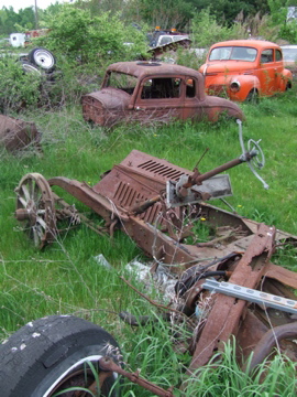 DSCF5664.jpg