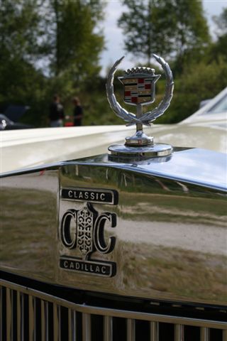 IMG_4925.JPG