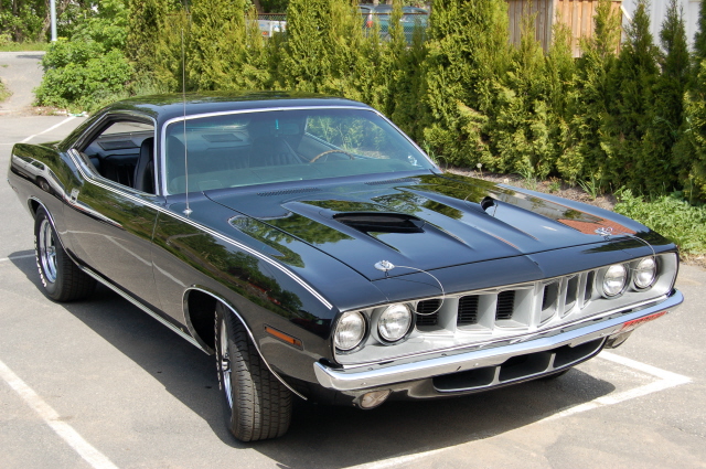 dsc_0045_205[1].jpg