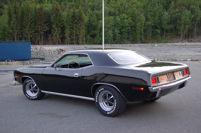 barracuda_106_902.jpg