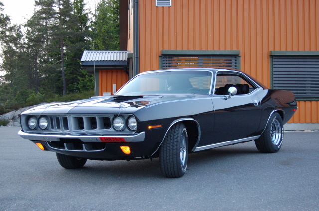 barracuda_097_171.jpg