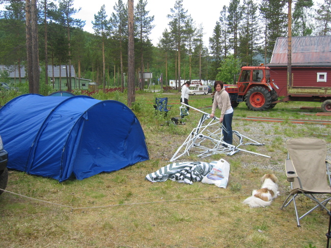 IMG_4764.jpg