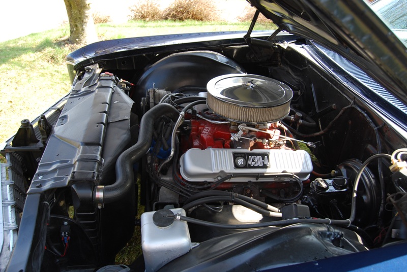 DSC_0041-2.jpg
