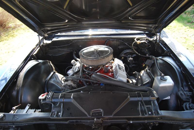 DSC_0040-2.jpg