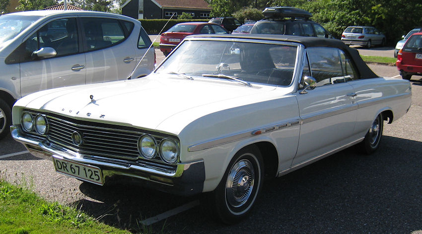 Skylark1.jpg