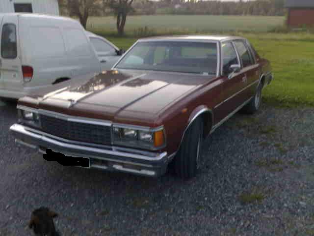 16072008-1977Caprice-REDIGERT.JPG