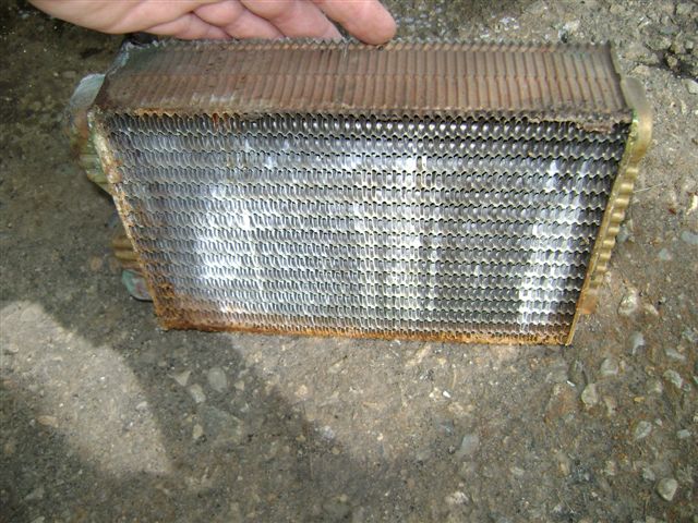 DSC01346.JPG