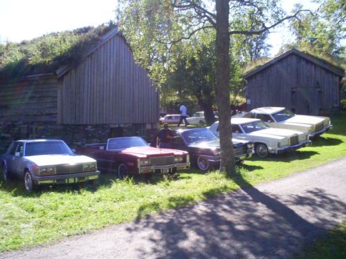 a35.jpg