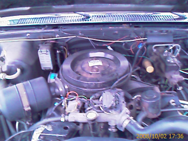 IMAG0367000.jpg