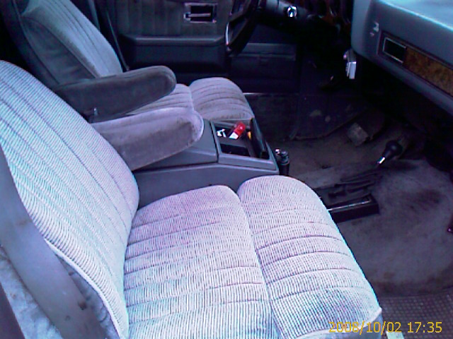 IMAG0366.jpg
