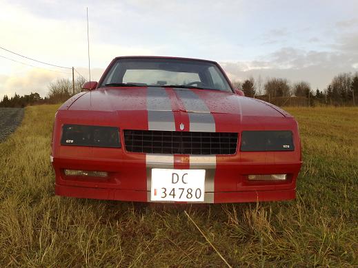 Monte Carlo1.JPG