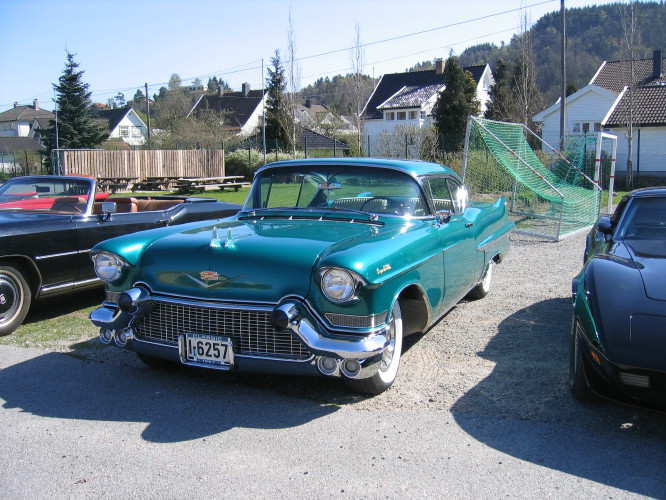 vårmønstring Lyngdal 3-5-080014.jpg