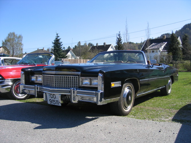 vårmønstring Lyngdal 3-5-080015.jpg