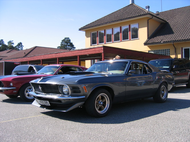 vårmønstring Lyngdal 3-5-080030.jpg