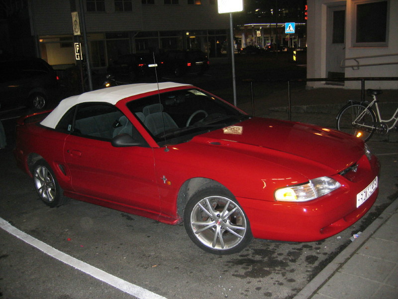 IMG_1748_1.jpg