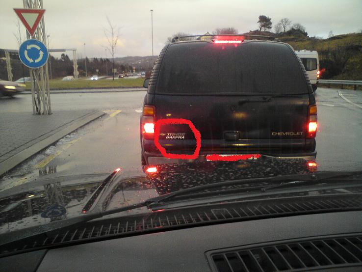 funnny spotting.jpg