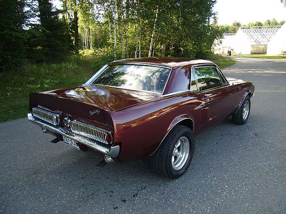 mustang rumpe2.jpg