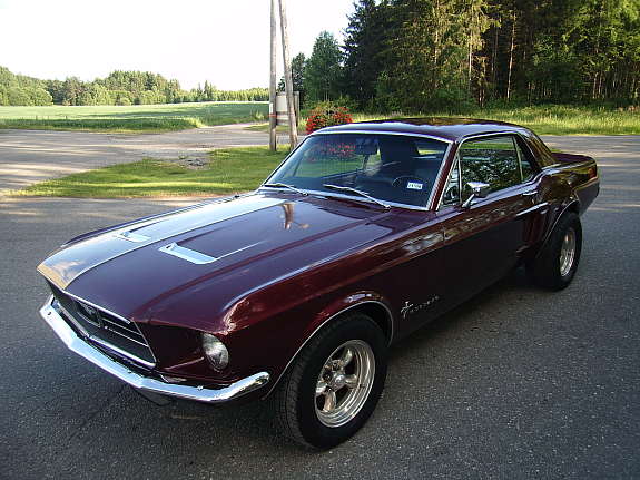 mustangen.jpg