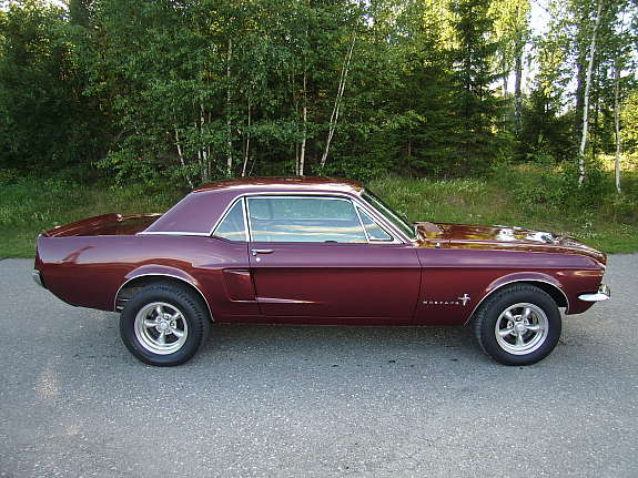 mustang h.side.jpg