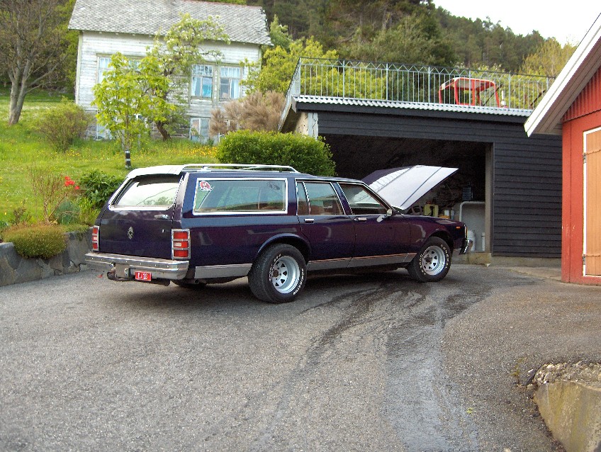 Caprice 15.jpg