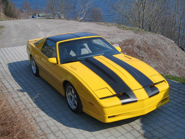 transam_890.jpg