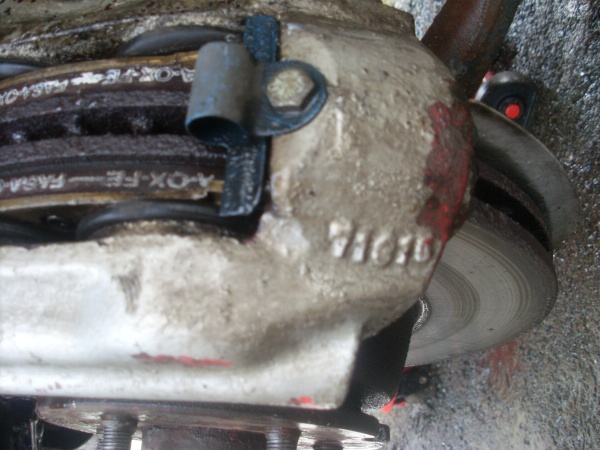 SL373327.JPG