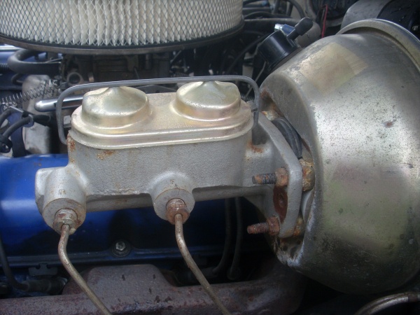 SL373328.JPG