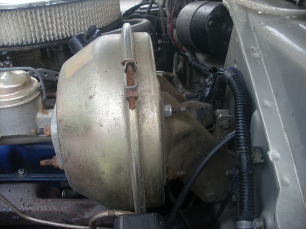 SL373329.JPG