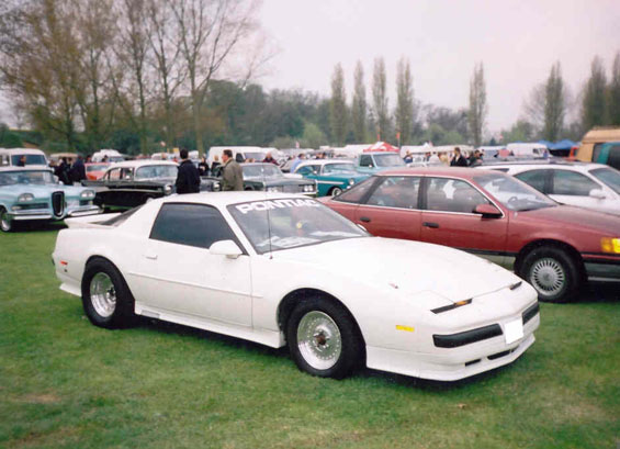 383 nos firebird billing trim copy.jpg
